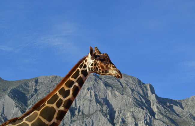 Excursion au centre écologique Xenpal - Photo 7