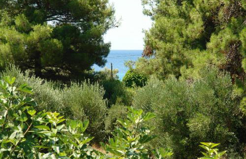 Antheia's House - Foto 21