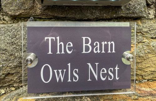 Barn Owls Nest-Uk39432 - Foto 8