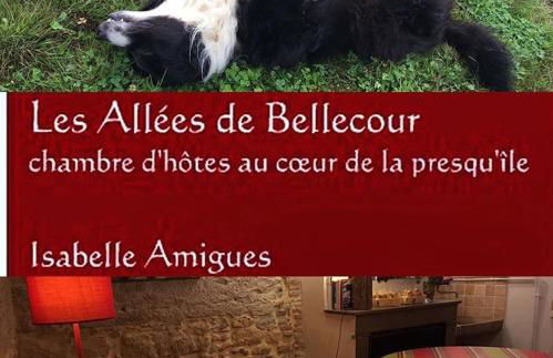 Les Allées de Bellecour - Photo 18