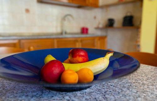 House of Camellias - Ground Floor with Garden - Foto 21