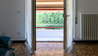 Chiwi's Home 2 - Photo 5