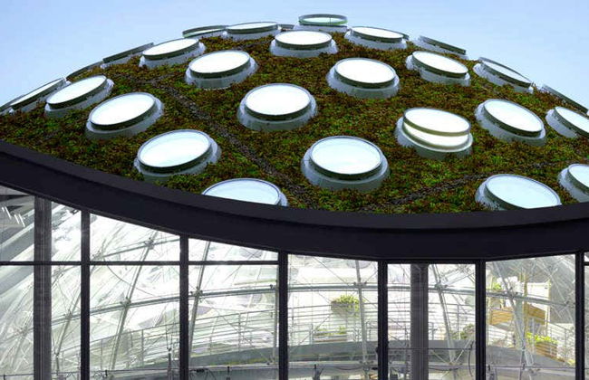 California Academy of Sciences Ticket - Photo 1