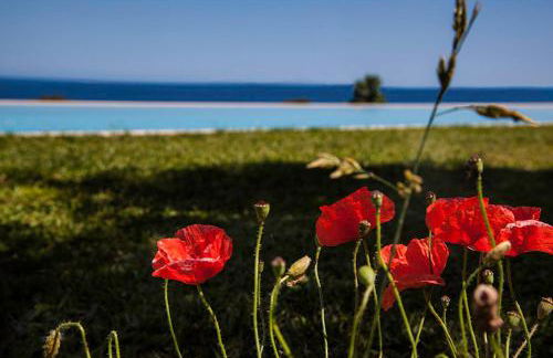 Tenuta Santa Tecla - Foto 14