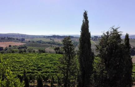 Agriturismo Luggiano - Foto 39