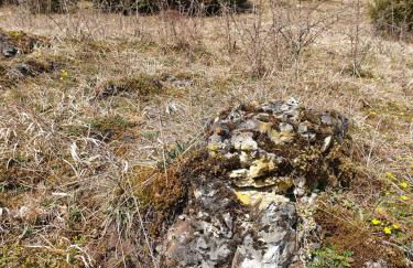 Haus Goldfuß - Foto 19