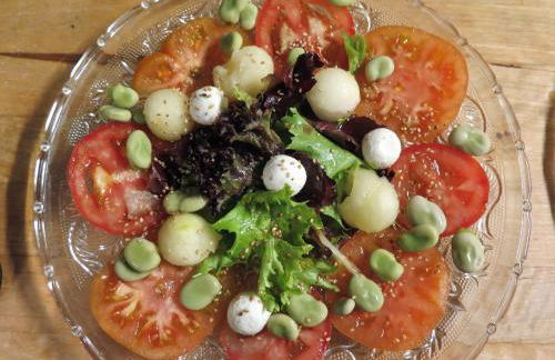 Casa Miret - Photo 25