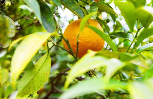 Holidays In Provence Alpes Maritimes - Foto 14