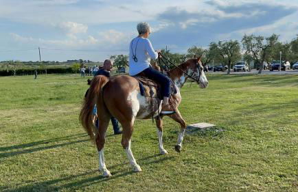 LA MASSARÌA agriresort - Foto 24