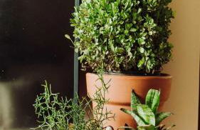 Apto em Campo Grande com Piscina e churrasqueira - Foto 22