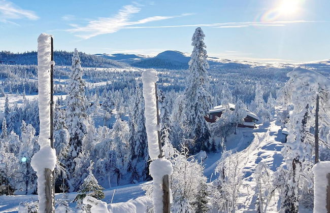 10 Person Holiday Home in Nesbyen-by Traum - Photo 15