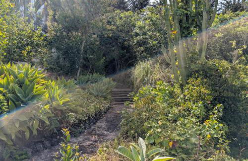 Bastion del Drago - Foto 7