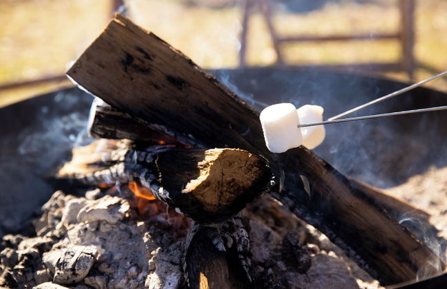 THE SENSE FUJI - Foto 5