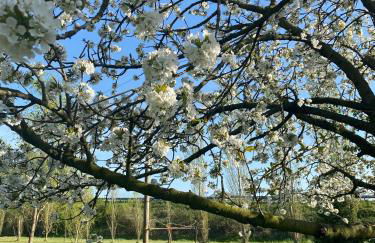 Relaxing house with exclusive swimming pool, close to Imola and Faenza, 4 bathrooms - Photo 6