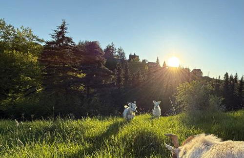 Naturhof Kluge - Foto 54