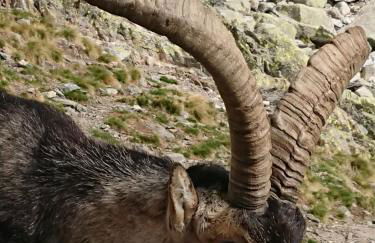 Artesano II - Foto 26