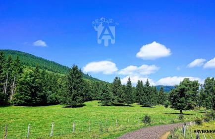 Gîte des Pierres Bleues - Foto 15