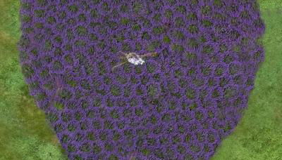 LeFay Cottage at Little Washington - Foto 3, Garden, Garden view