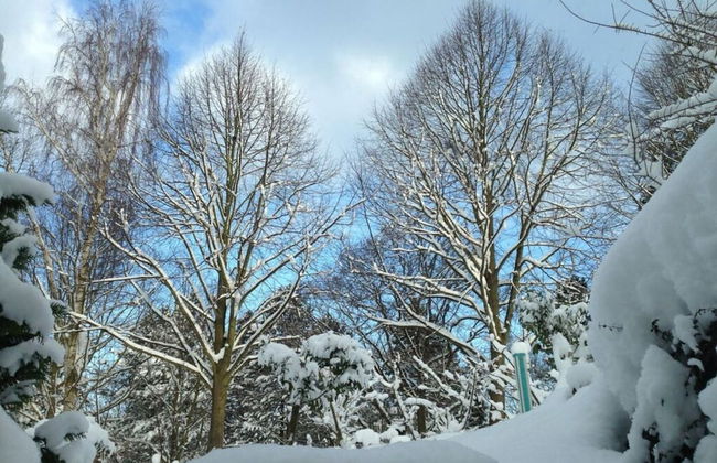 Am Konigsberg, Luebeck - Foto 17