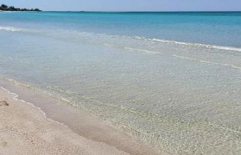 Casa di Rita al Bassamarea - Foto 8