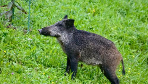 Caserío Ea - Foto 2