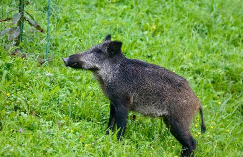 Caserío Ea - Foto 2