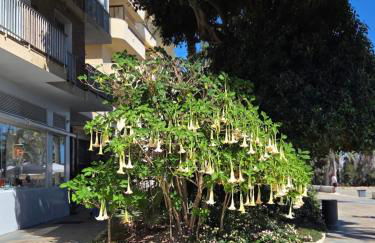 Sea View Penthouse Apartment with Hot Tub - Casa Bella Vista, Buenas Noches , Estepona - Photo 68