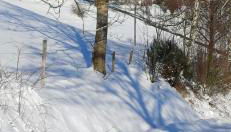 Ferienwohnung am alten Backhaus - Foto 4