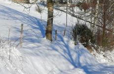 Ferienwohnung am alten Backhaus - Foto 4