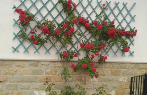 Vivienda Turística Rural Mari Carmen - Foto 51