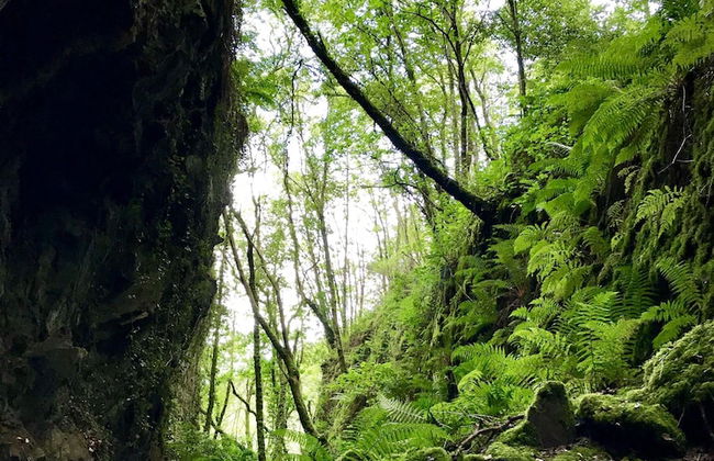 Casona de Labrada - Foto 76