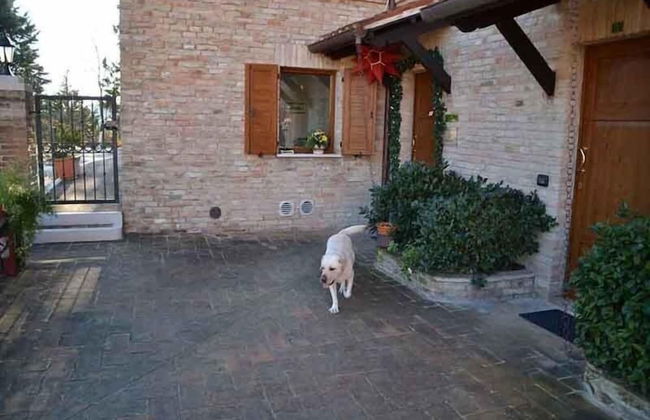 Colleverde Country House Beauty&Wellness - Foto 61