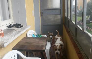 Casa in villaggio minerario vicino Massa Marittima - Foto 24