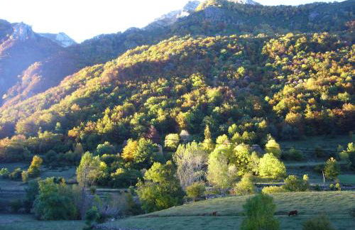 La Corona del Auteiro - Foto 12