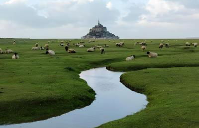 Les 3 Mésanges - Foto 10