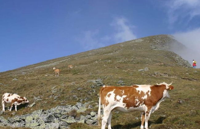 Holiday Home in Scheifling Near Ski Slopes - Foto 23