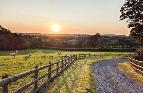 The Farmers Den - Foto 25