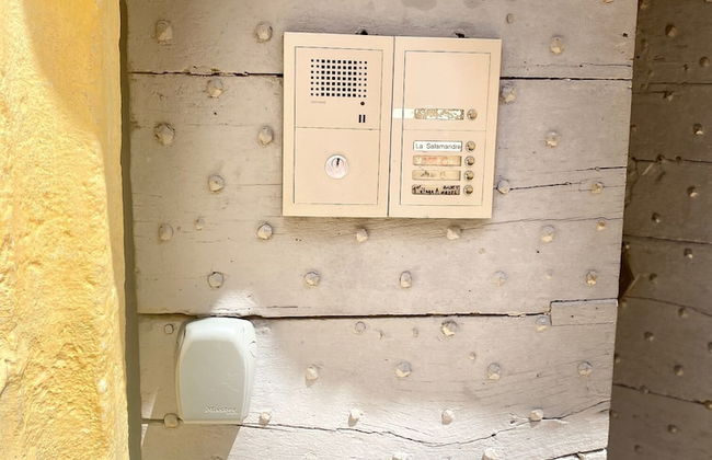 La Salamandre - Foto 16