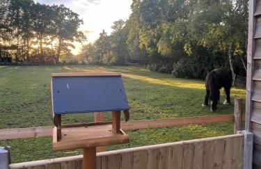 Sunset Retreat - Photo 21