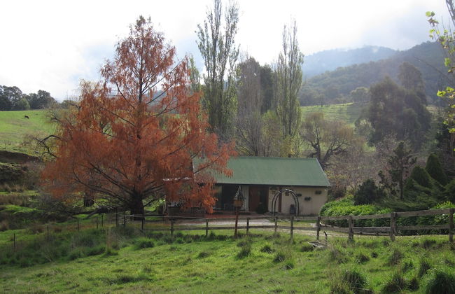 Edelweiss Cottage B&B - Foto 22