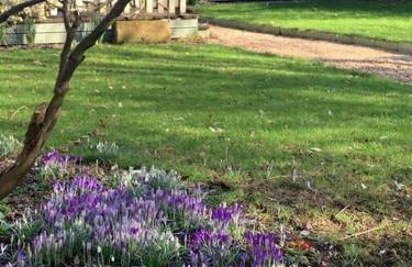 Beautiful Georgian cottage within a private walled garden - Foto 42