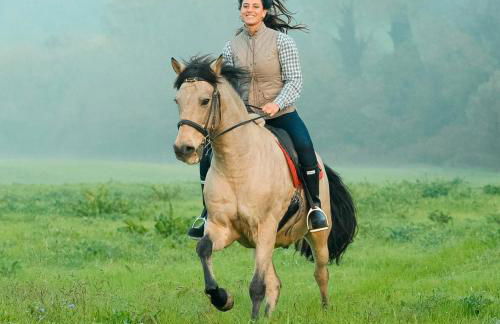 Origine Country Farm - Photo 35