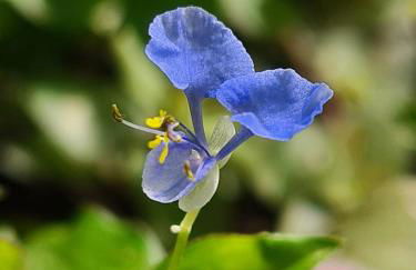 Sossego e aconchego ao lado do INHOTIM - Foto 33