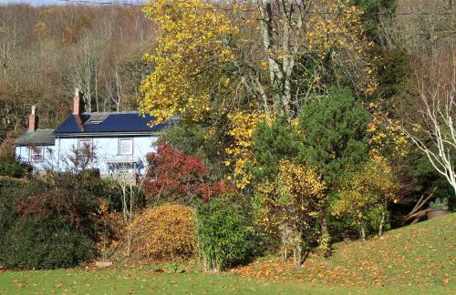 Tŷ Melindwr - Foto 29