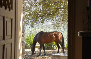 Getaway andros - Photo 12