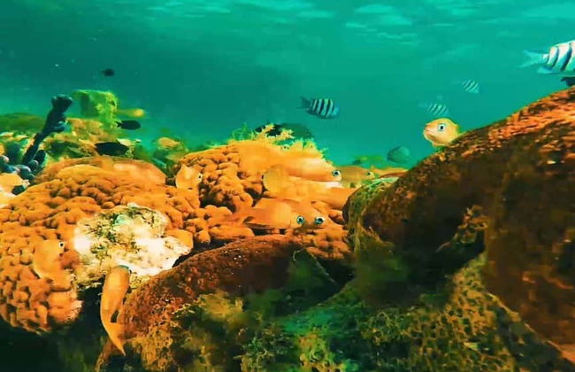 San Andrés Island Boat Tour - Foto 6