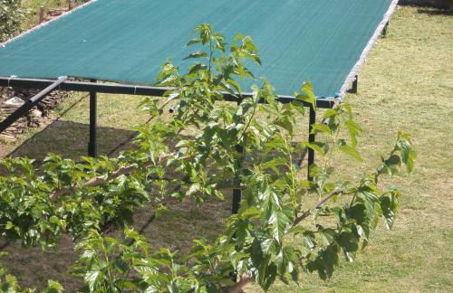 Mangata Seaside Hotel - Photo 36