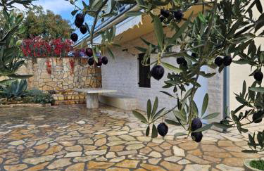 Vila Propuh Primošten - Foto 31