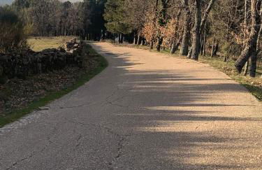 Nido Estebana - Foto 36