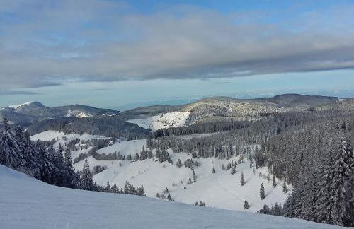 Haus Schöneck - Foto 2